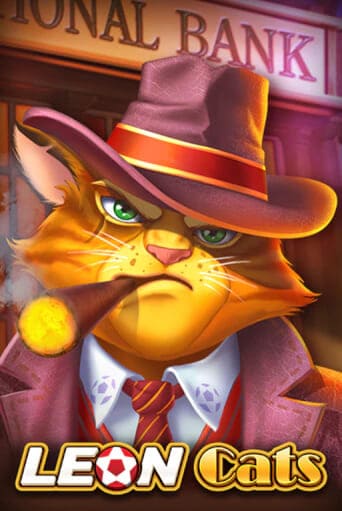 Leon Cats Leon Cats